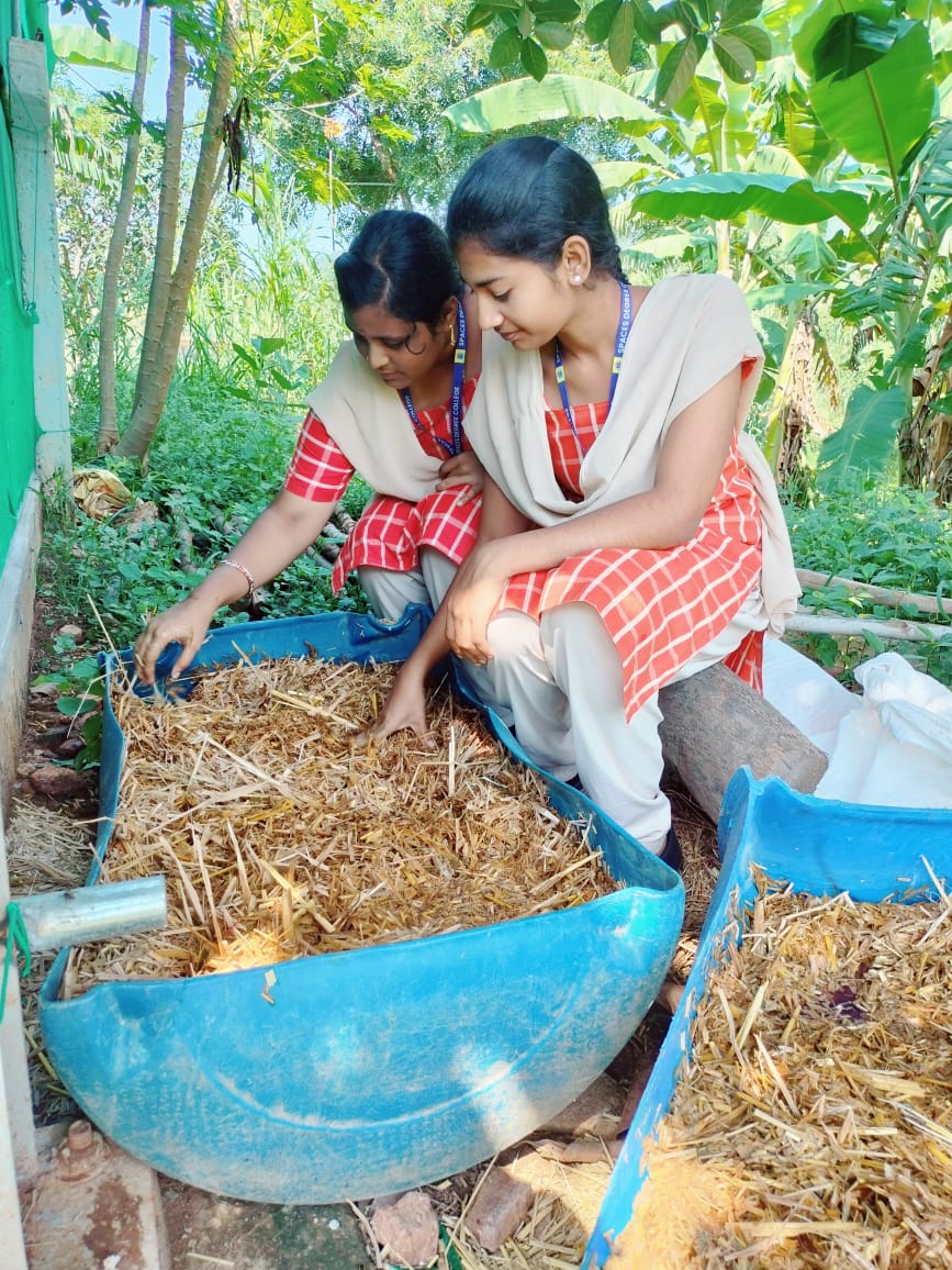 Students participating in sustainable campus internship activities