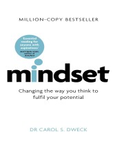 Cover of Mindaet